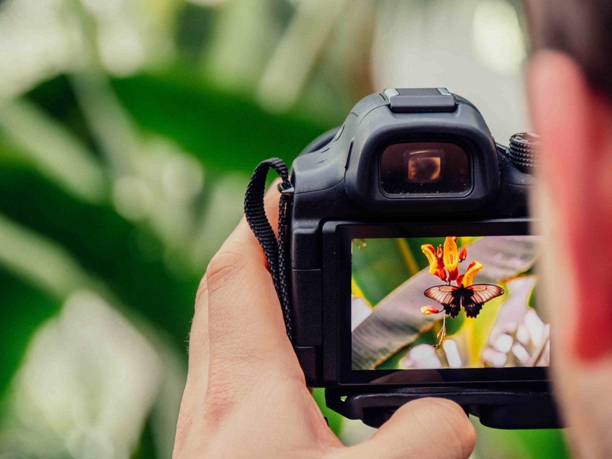 Фотографія-як стати професійним фотографом в Чехії - 1