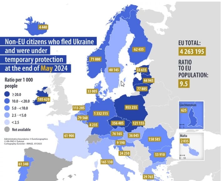 Пошаговое руководство: как украинцам получить статус беженца и образование в Европе - 5